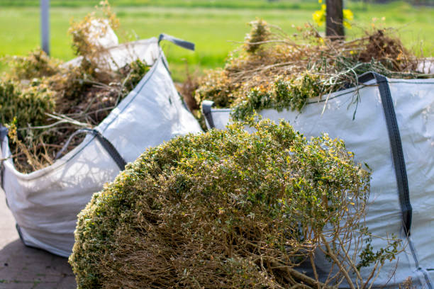 Best Construction Debris Removal  in Pontotoc, MS